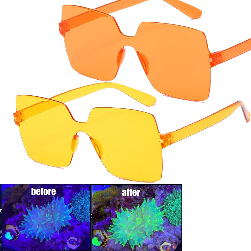Photography Natural Lighting - Lunettes d'observation du corail, verres de