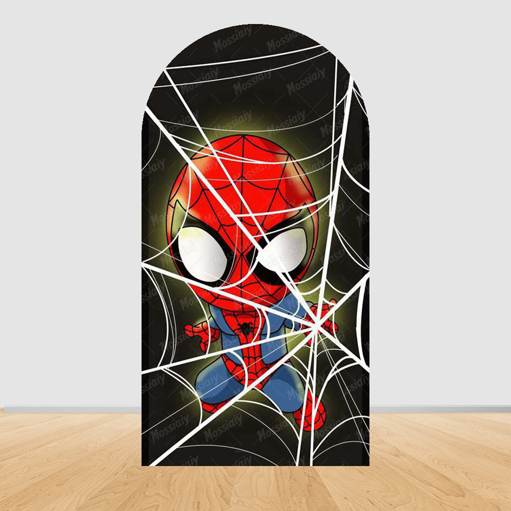 Toile de fond Spider-Man et se - Photography Of A Man avis et prix